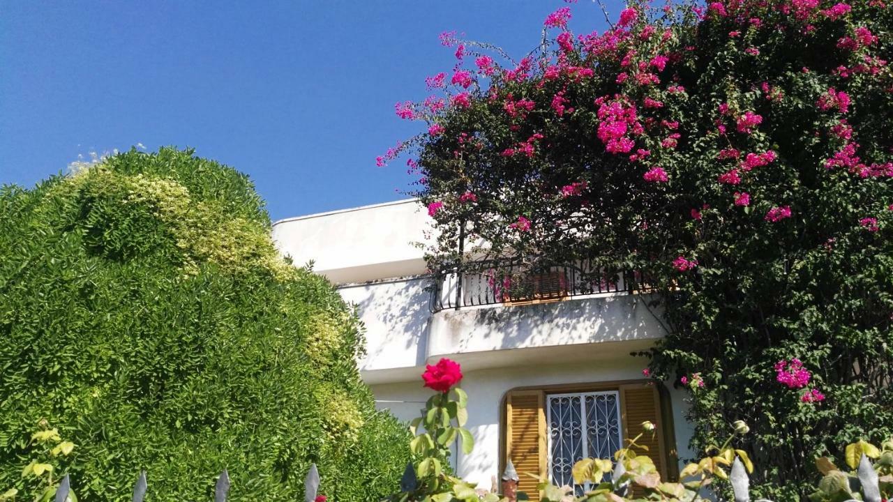 Villa Mary ตรานิ ภายนอก รูปภาพ